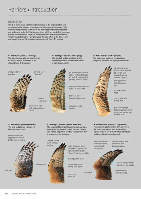 ID Handbook of European Birds - 2 osainen - Nils van Duivendijk, 2024